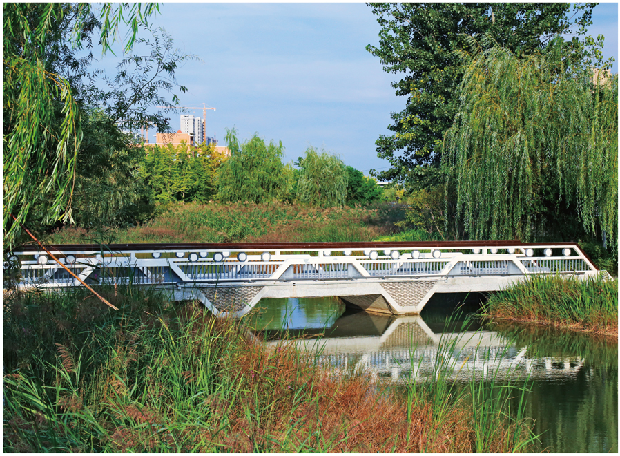 开封市涧水河综合治理工程